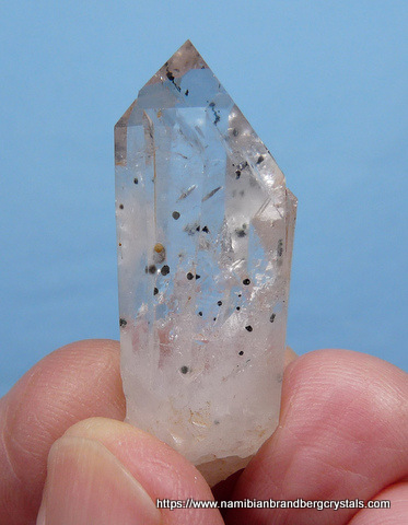 Quartz crystal with pumpellyite inside and outside