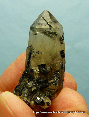 Light smoky quartz crystal with schorl crystals in and on it