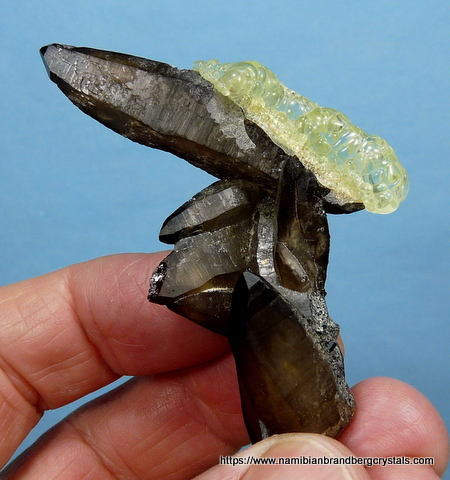 Beautiful, botryoidal hyalite opal on smoky quartz crystal