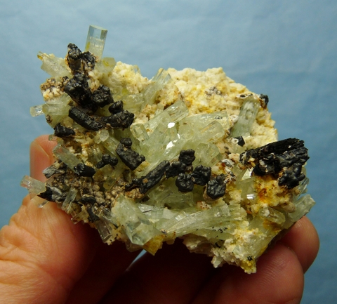Aquamarine, schorl and (?)Hematite on matrix