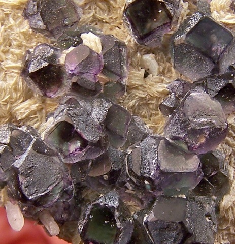 Green and purple fluorite crystals on muscovite, Erongo