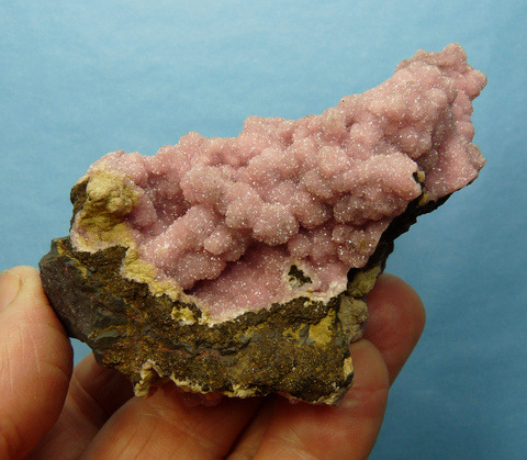 Drusy, sparkling, botryoidal aggregates of rhodochrosite crystals on matrix