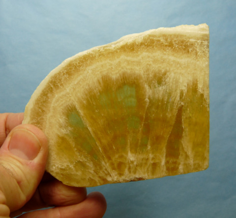 (?)Honeycomb calcite slice