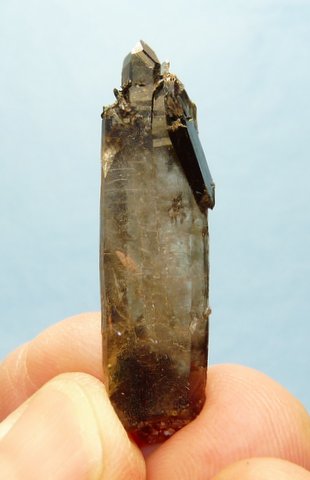 Smoky quartz crystal with aegirine
