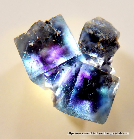 Fluorite crystals with stunning colours, lighted from behind